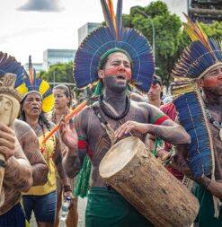 tribe